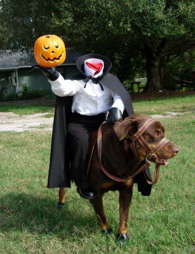 El perro que se creía un caballo fantasma
