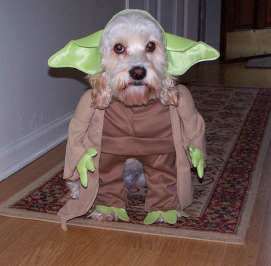 La fuerza del Maestro Yoda