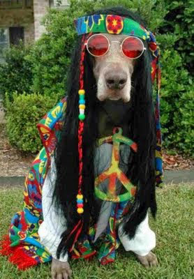 La vida hippie es la mejor