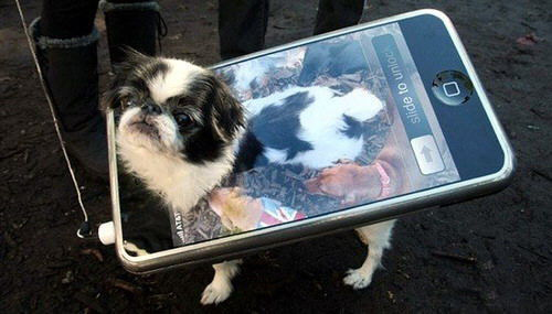 iDog, el perro iphone