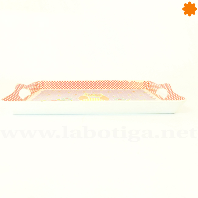 bandeja_de_pl_stico_decorada_con_un_b_ho