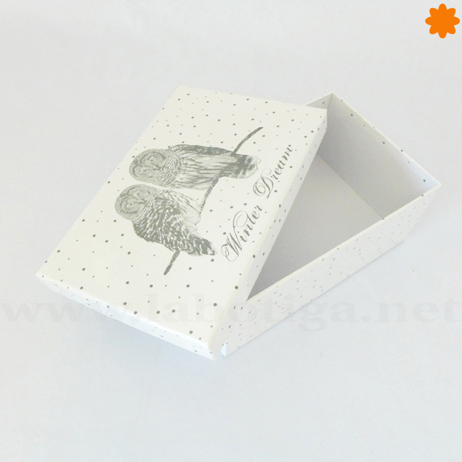 Caja vintage de cartón decorada con búhos y fondo blanco 
