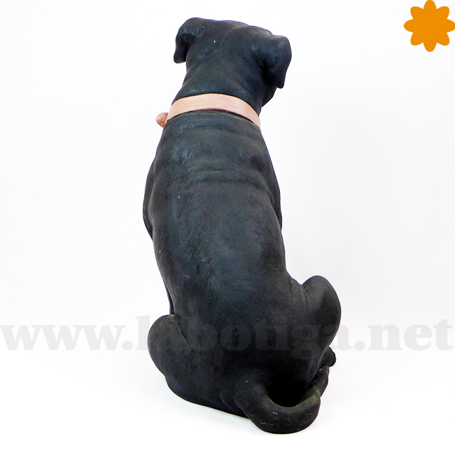 espalda_staffordshire_terrier_color_blanco_y_negro