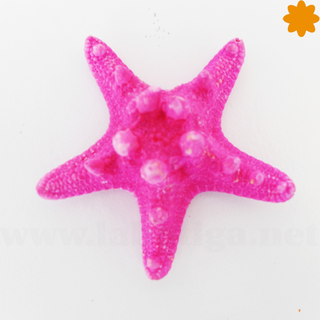 estrella de mar rosa