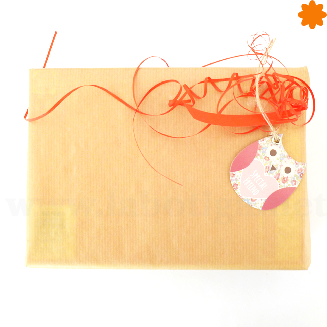 paquete_de_regalo_buho_special_friend