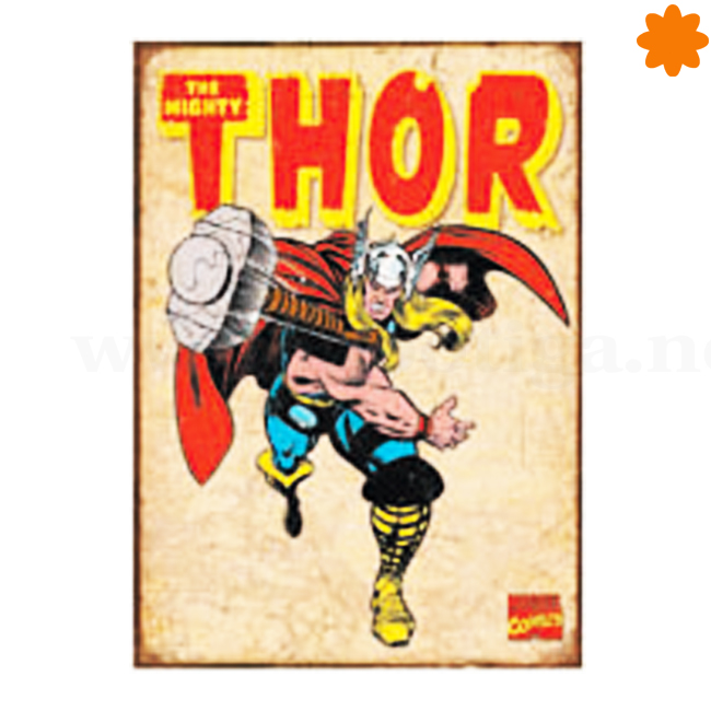 Thor el Dios del martillo en placa metálica para la pared
